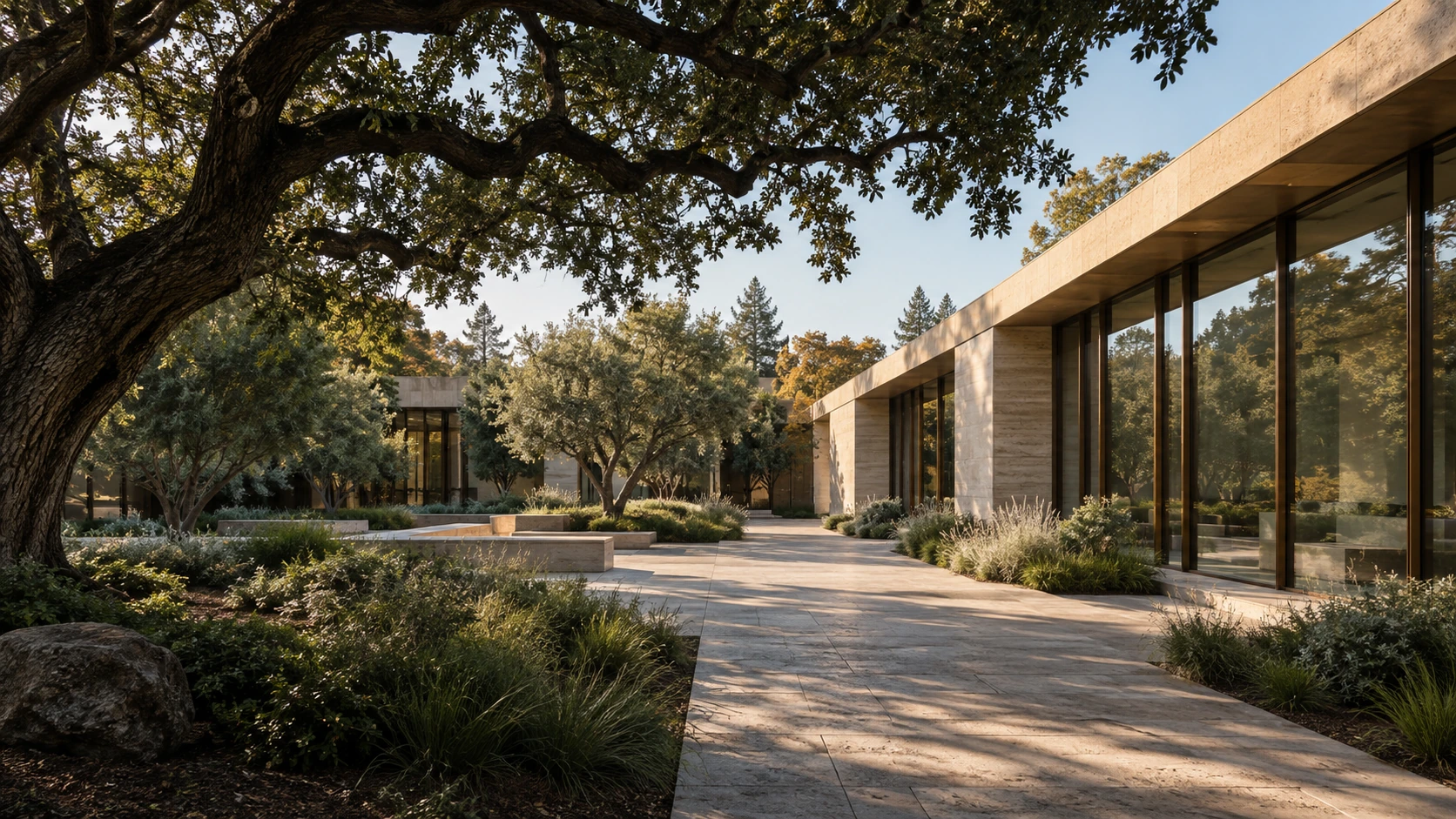 Morning light across an oak-shaded courtyard beside a modern stone and glass building.